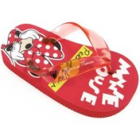 For 499/- Flip flops starting from Rs 499 at Voxpop