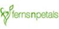Get 25% cashback (Max .Rs.200 ) on paying through Paytm Wallet on all transactions at Fernsnpetals